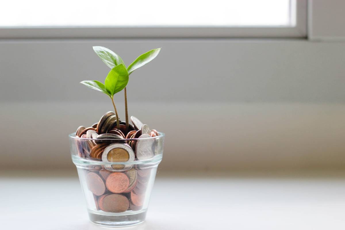 Plant growing out of a pot filled with coins
