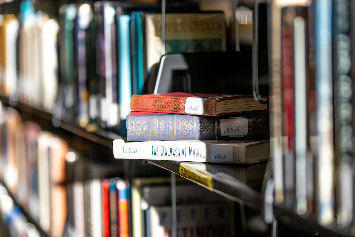 Image of books in the Fulton Library