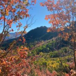 landscape photo of a mountain and trees