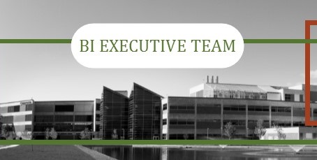 BI Executive Team