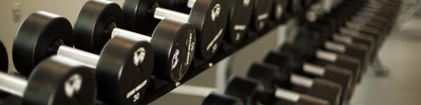 Free weights at the SLWC gym
