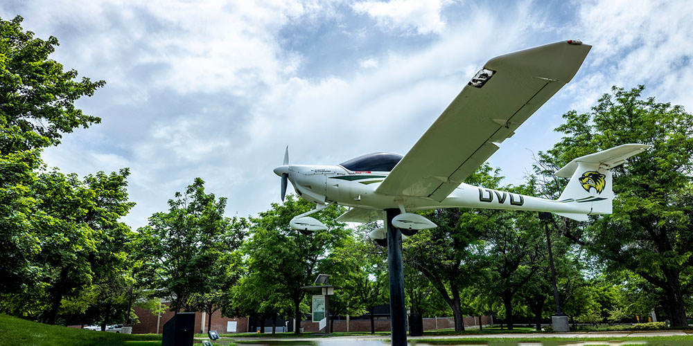 plane statue