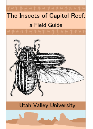 Cover page for Field Guide