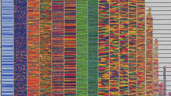 genome sizing image