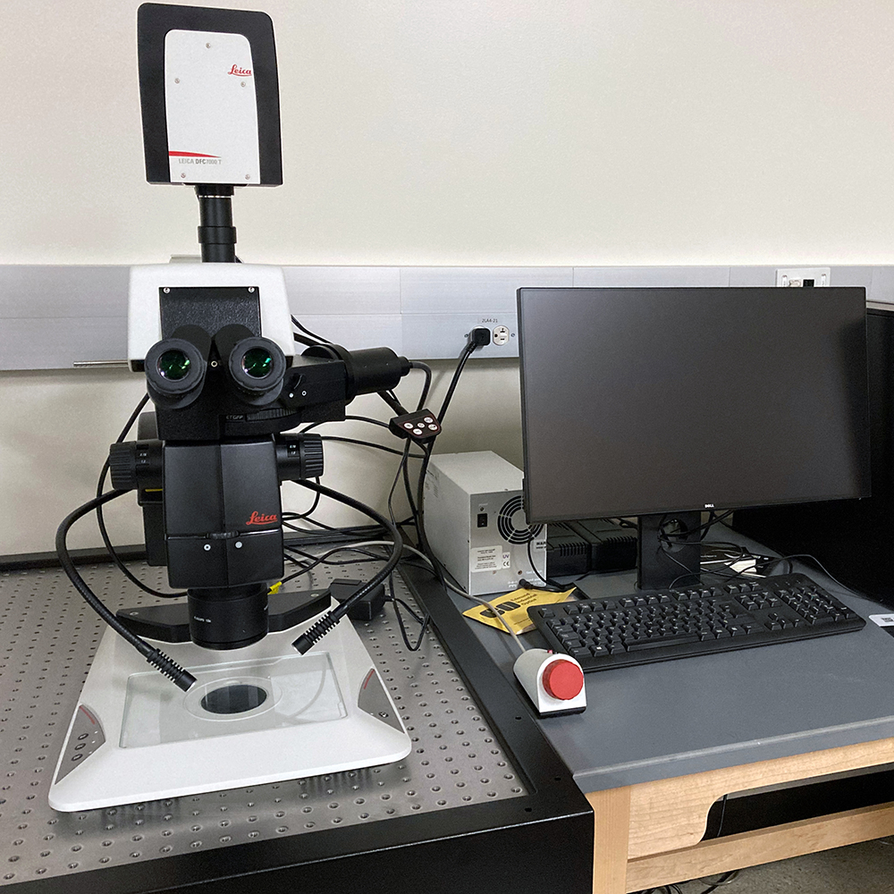 microscope facilities 4