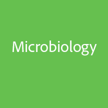 Microbiology image