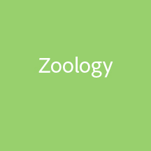 zoology image
