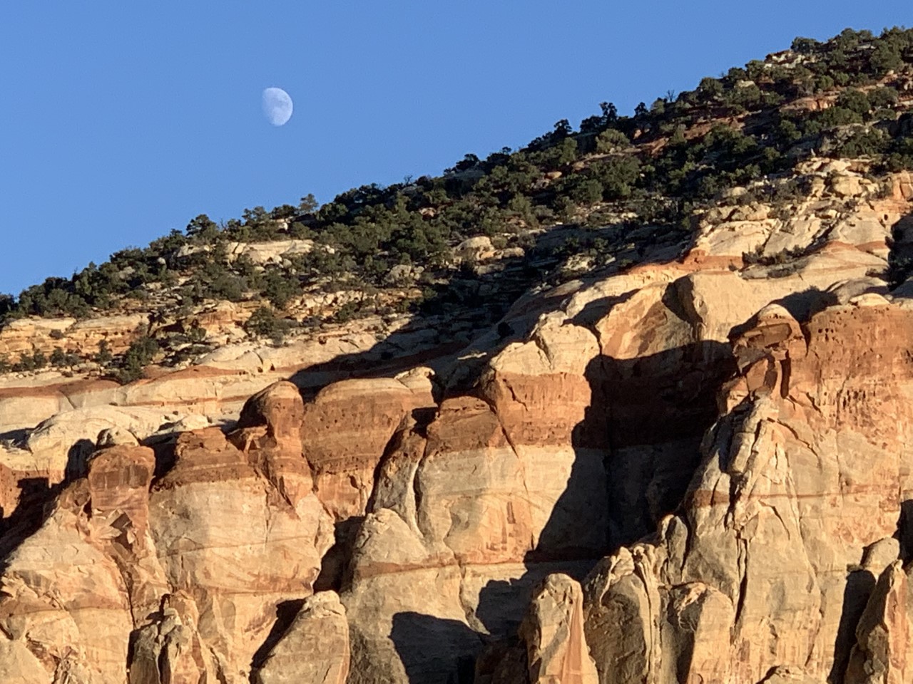 The Kayenta Formation is covered by trees, above the striped Wingate