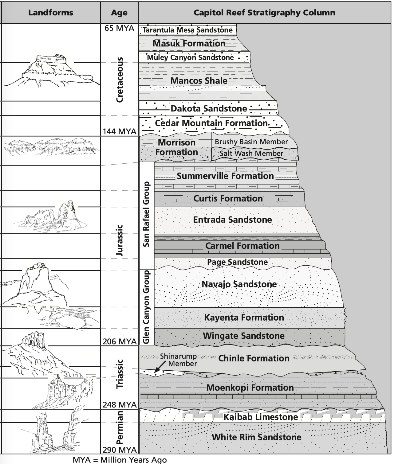 stratigraphy column