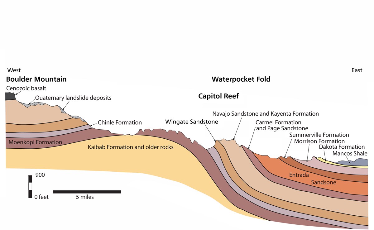 An illustrated cross-section of the eroded monocline, the Waterpocket Fold