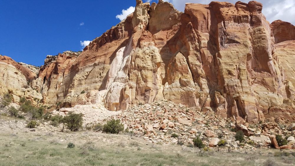 The Wingate Cliffs near the Field Station. Notice the pale section, where a rockfall occurred - Photo by Joe Ceredini 