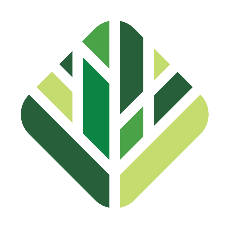 Evergreen logo | Tree logo design, Logo design inspiration, Tree logos