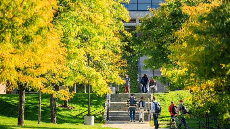 Students walking under trees on UVU campus.