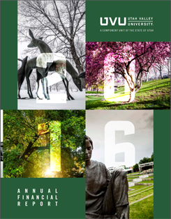 2016 Annual Financial Report PDF