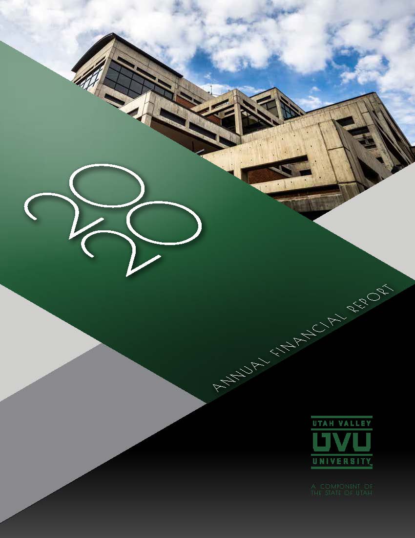 2020 Annual Financial Report PDF