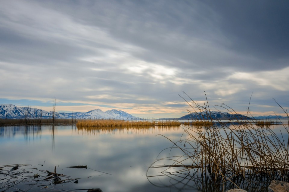 Utah lake with reeds and rocks.