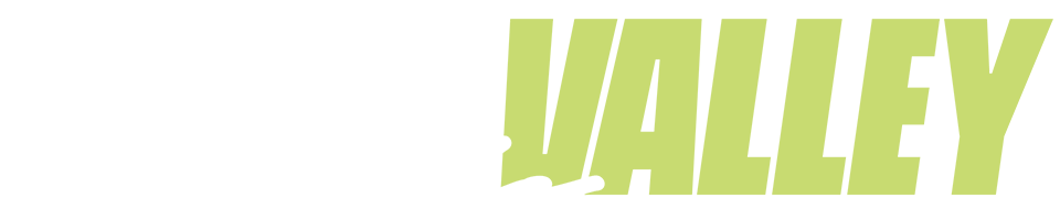 ralley the valley logo