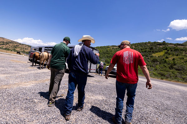 Veterans walking together toward horses and trailer in UVU work study program