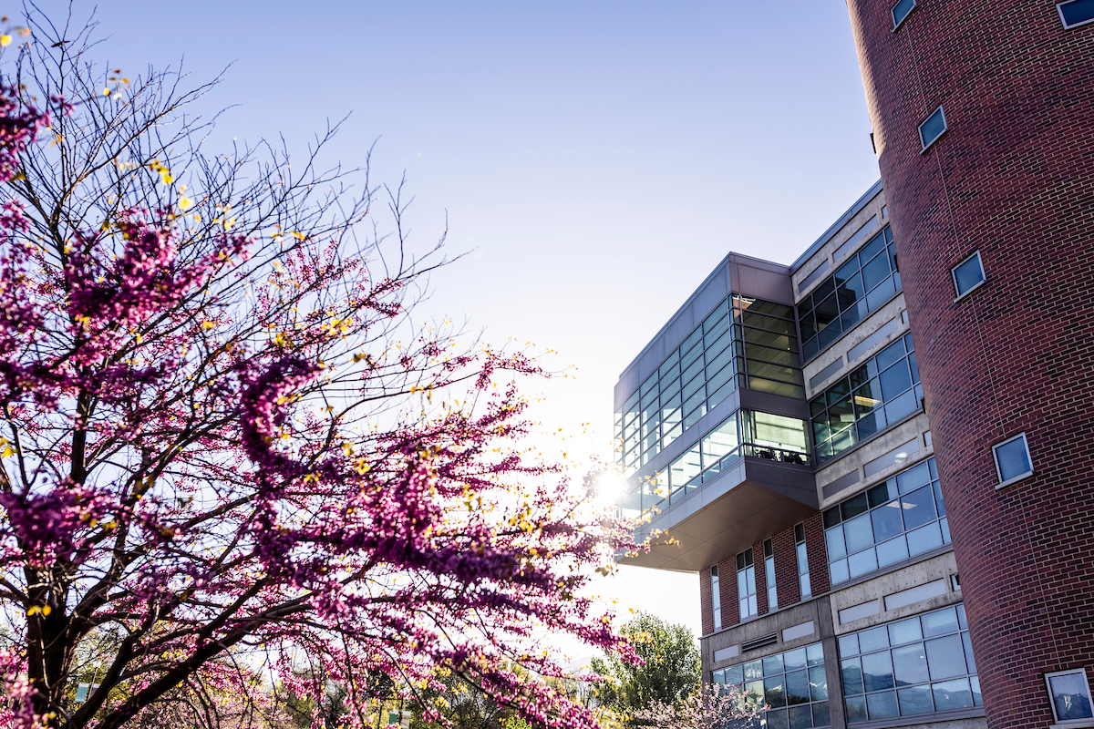 Image of UVU during the spring