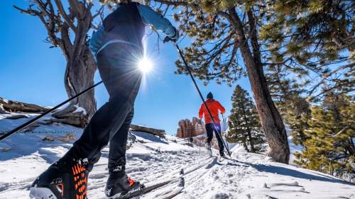 Bryce Canyon Skiers