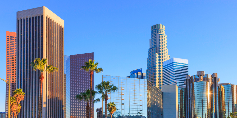 high rise buildings with palm trees along sidewalks.