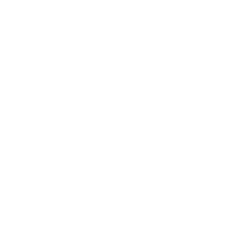 christmas tree icon