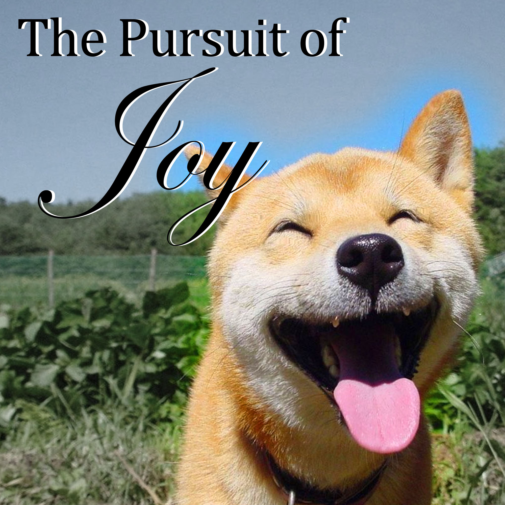 The Pursuit of Joy: Maintaining Hope and Resilience When the Struggle is Real