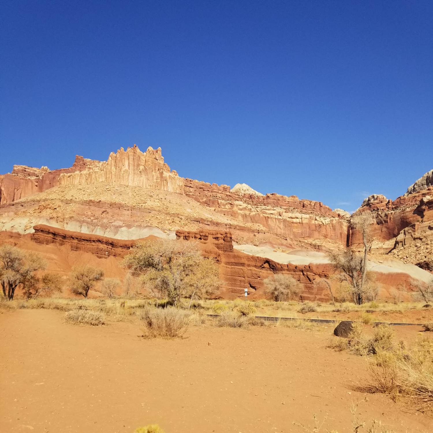 orange rock formations at Capitol Reef National Park