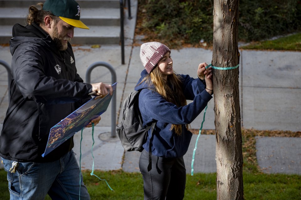 Person hanging a flyer on a pole