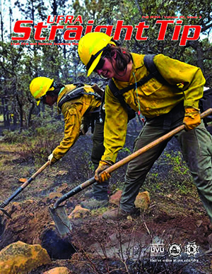 wildland firefighters