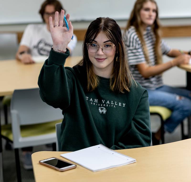 Image of a student raising their hand in class