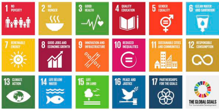 sdgs