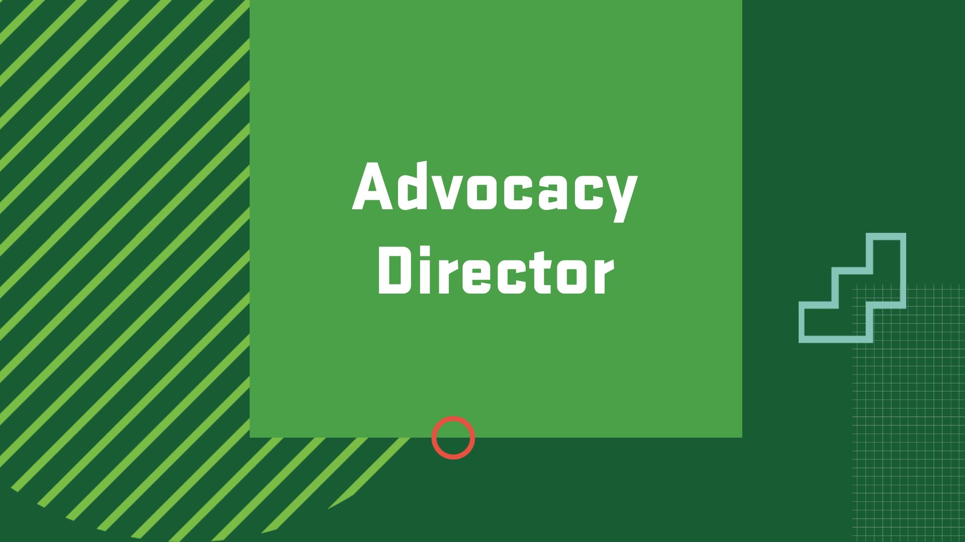 Graphic with the title of a career in Nonprofit Leadership Studies, “Advocacy Director”