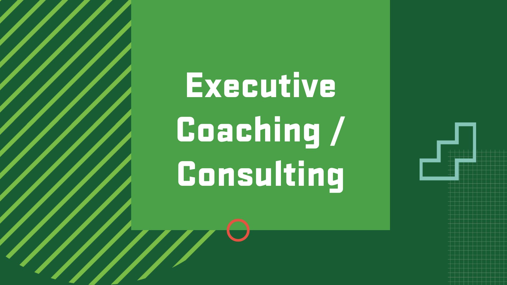 Graphic with the title of a career in Leadership Studies, “Executive Coaching / Consulting"