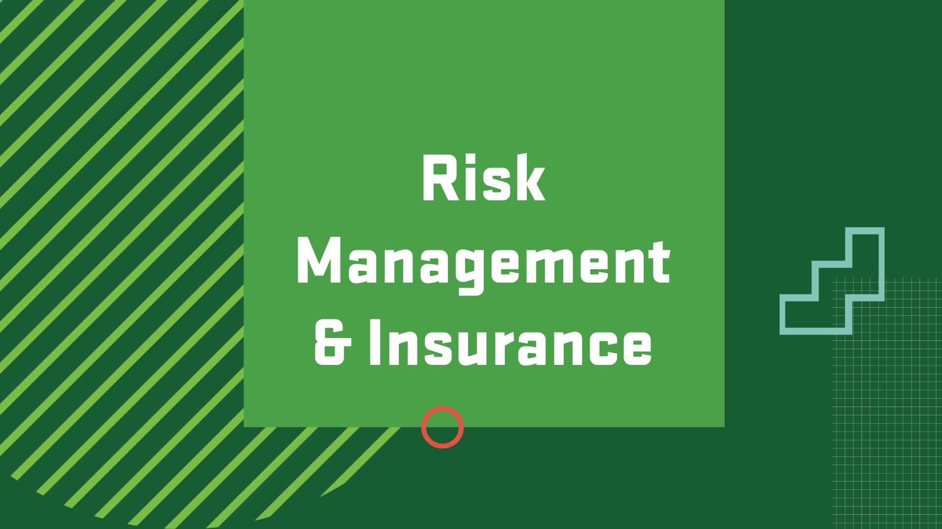 Graphic with the title of a possible career path in finance, "Risk Management and Insurance"